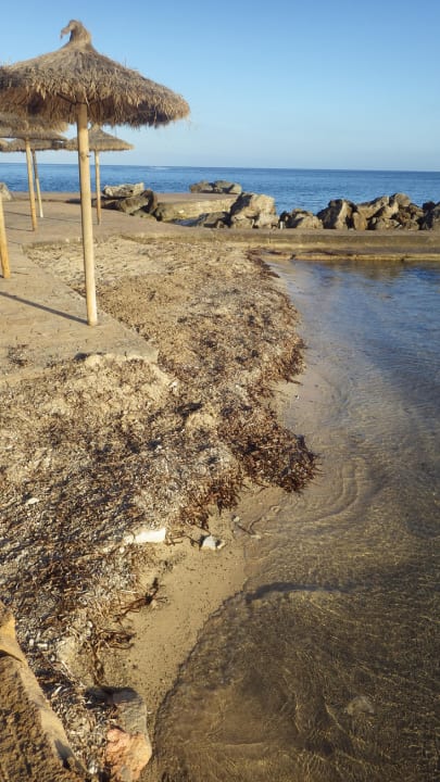 Strand Hipotels Eurotel Punta Rotja Golf & Spa