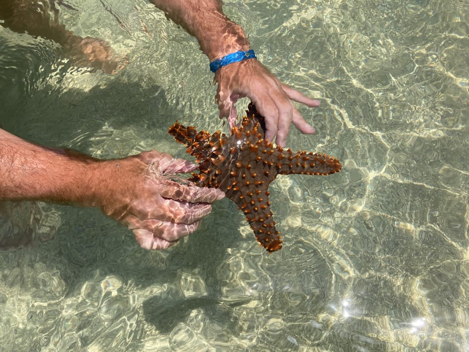 Strand Neptune Palm Beach Boutique Resort & Spa