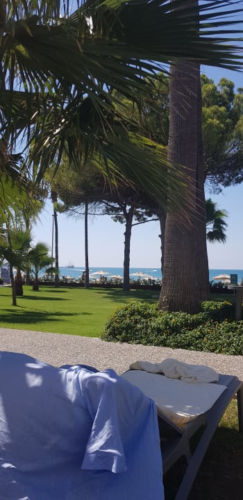 Gartenanlage Acanthus Cennet Barut Collection