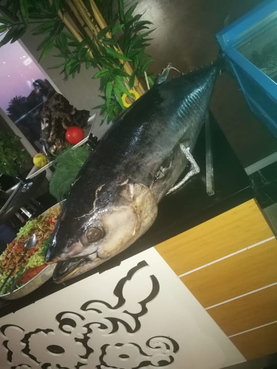 Gastro Seaden Sea Planet Resort & Spa