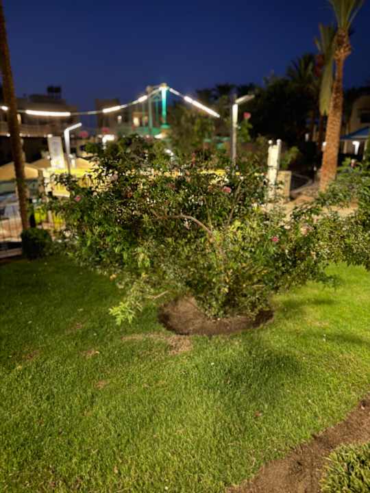 Außenansicht Pickalbatros Oasis Hotel - Port Ghalib