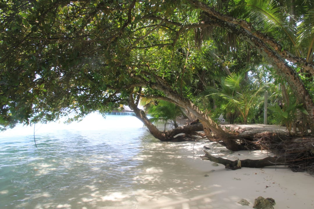 Lieblingsplatz Kuramathi Maldives