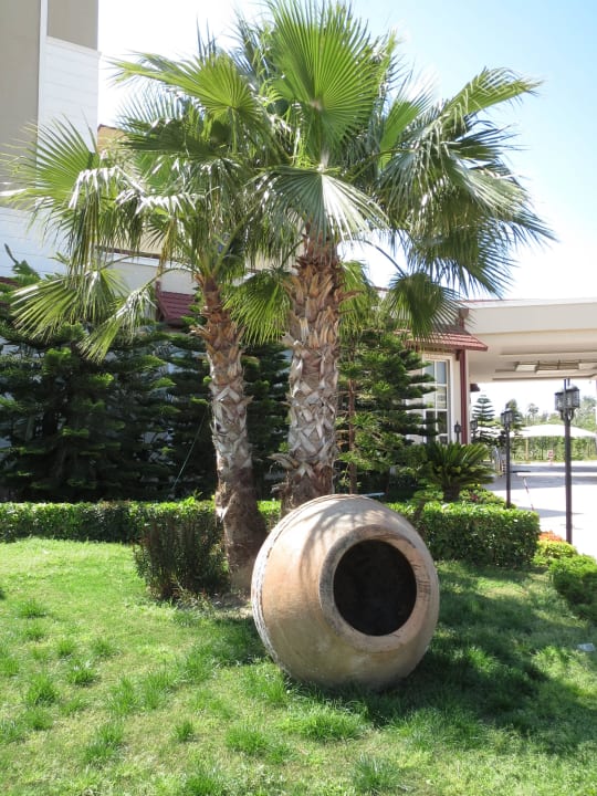 Vorm Hotel Paloma Oceana