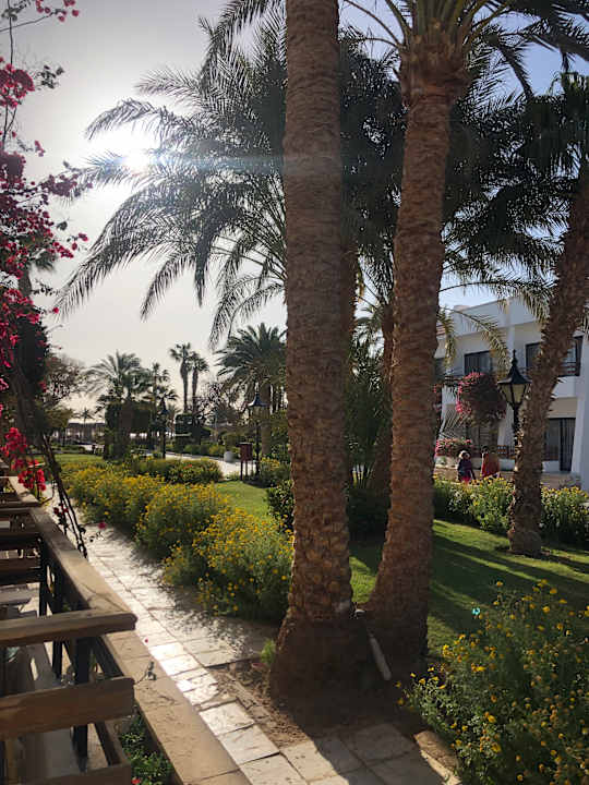 Zimmer The Grand Hotel Hurghada