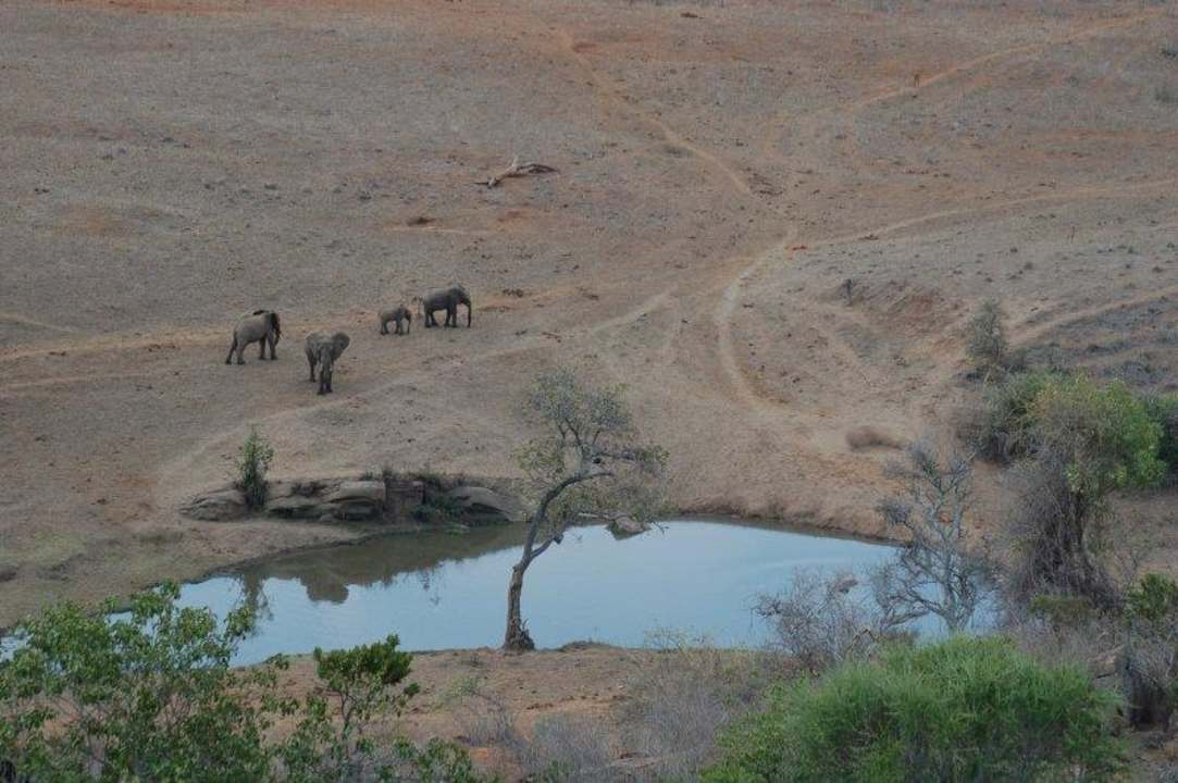 Ausblick 3 Rhino Valley Lodge