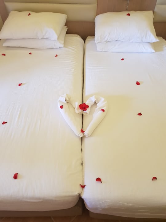 Zimmer Pickalbatros Aqua Vista Resort - Hurghada