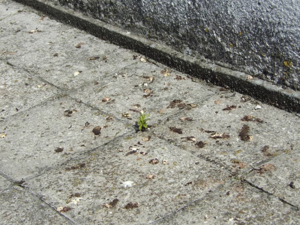 Podłoga balkonu Hotel Atol Resort