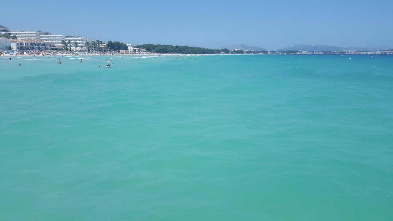 Playa  BG Hotel Rei del Mediterrani Palace