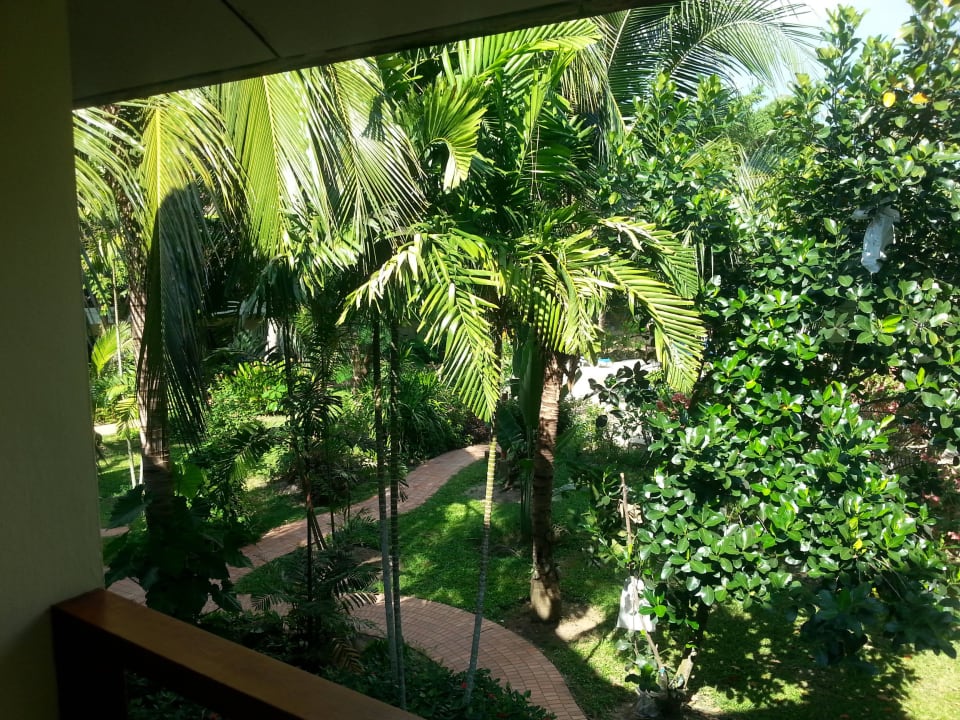 Blick vom Balkon Paradise Beach Resort, Samui