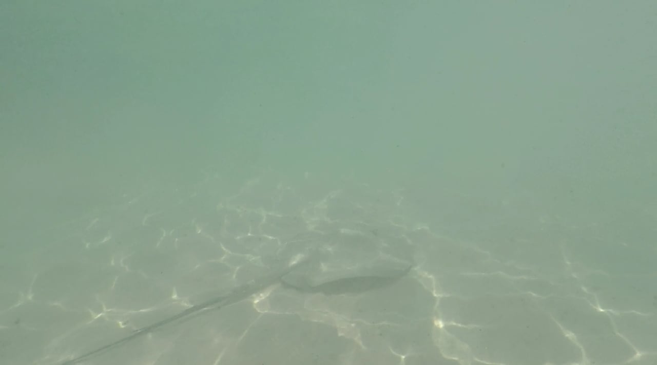 Sport & Freizeit Akumal Bay Beach & Wellness Resort