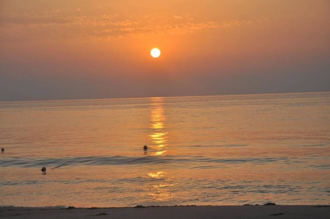 Sonnenaufgang Miramar Al Aqah Beach Resort