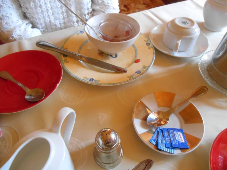 Seltsame Geschirr-Konstellation PARK VILLA zentral am Mittelrhein