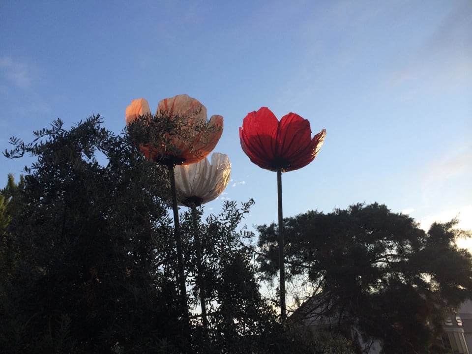 Garten Side Alegria Hotel & Spa - Adults only +16