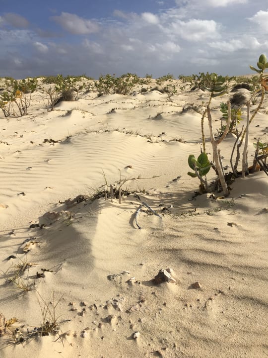 Strand Hotel Riu Touareg