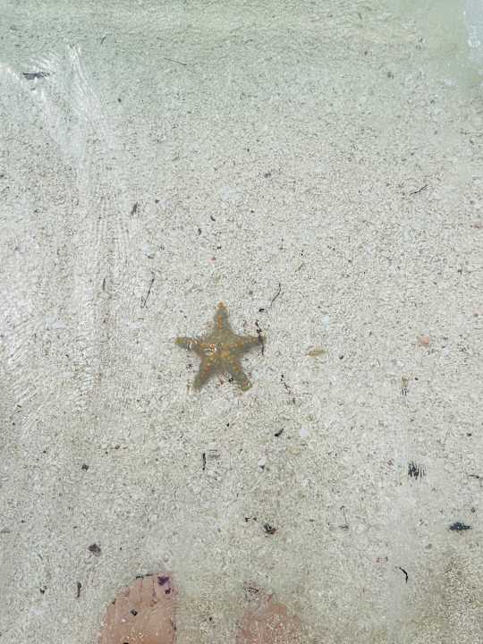 Strand Hotel Riu Palace Zanzibar