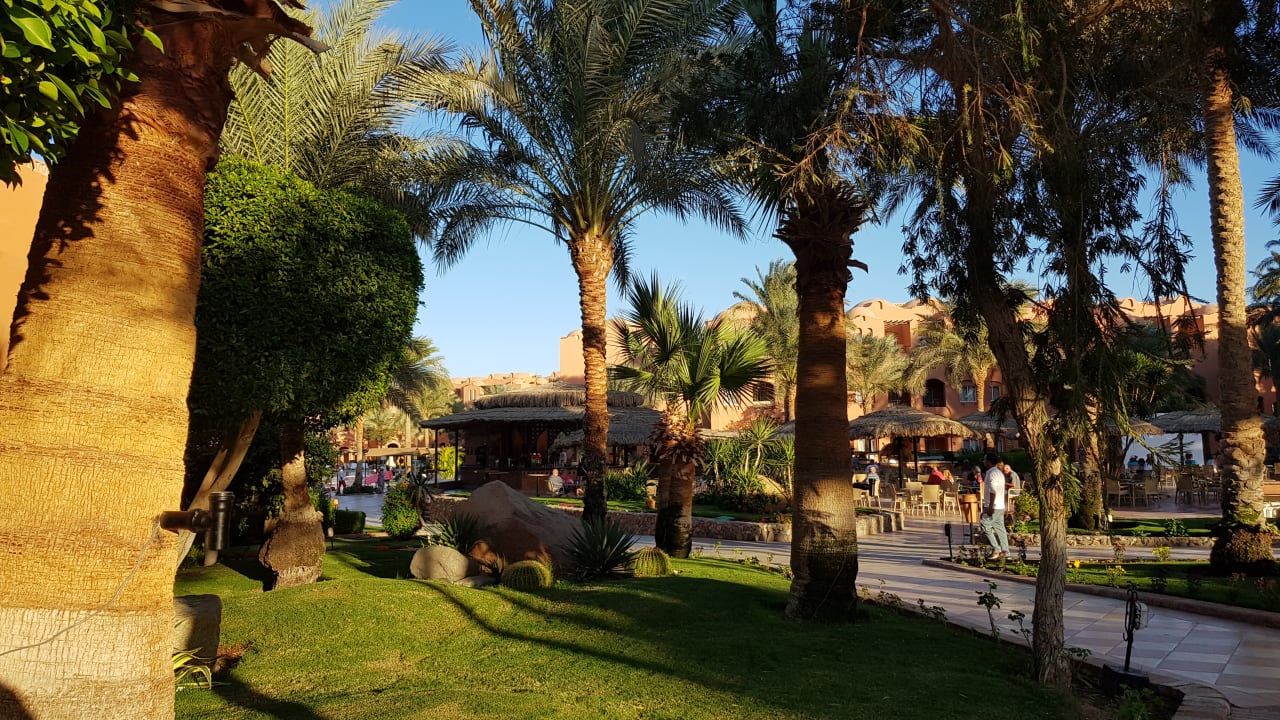 Gartenanlage Jaz Makadi Oasis Resort