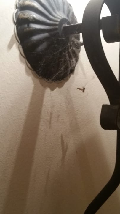 Zimmer Hotel Atrium Beach