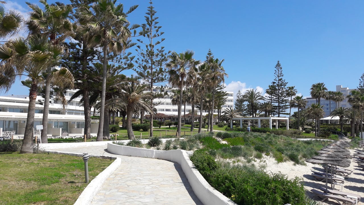 Gartenanlage Hotel Nissi Beach Resort