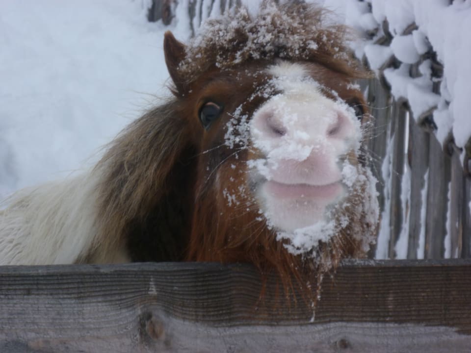 Süß! Hotel Hubertushof