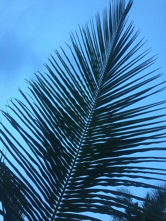 Sonstiges NH Collection Maldives Havodda Resort