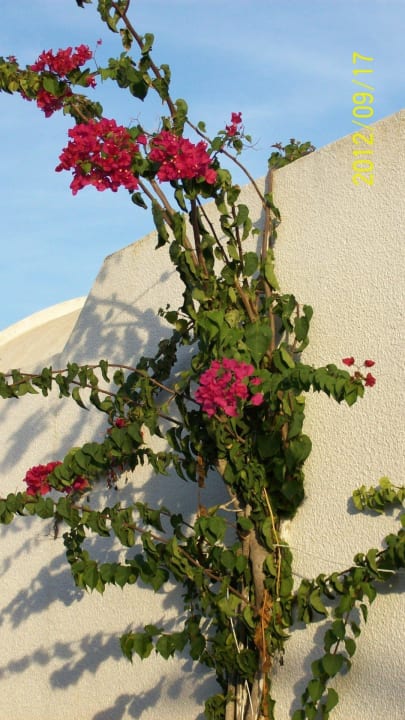 Gang zu den Bungalows El Mouradi Club Kantaoui