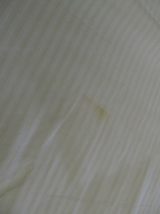 Zimmer Beach Albatros Resort