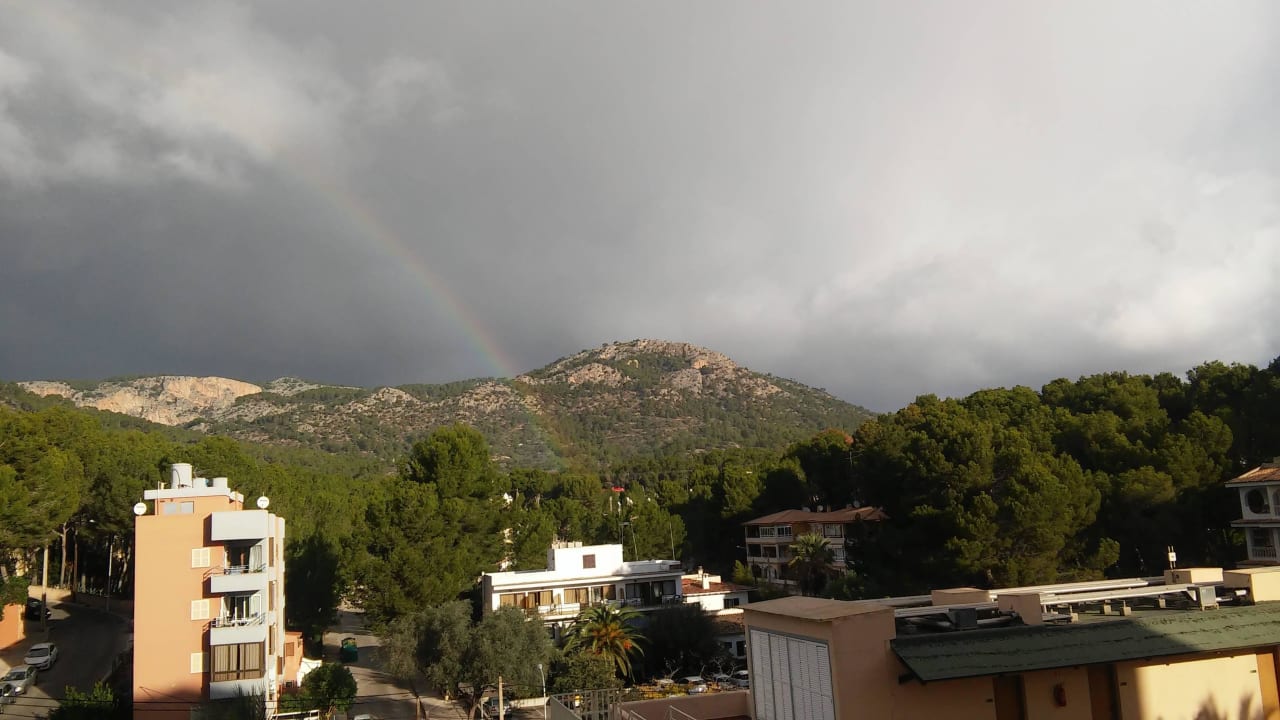 Vom Eingang aus Valentin Reina Paguera