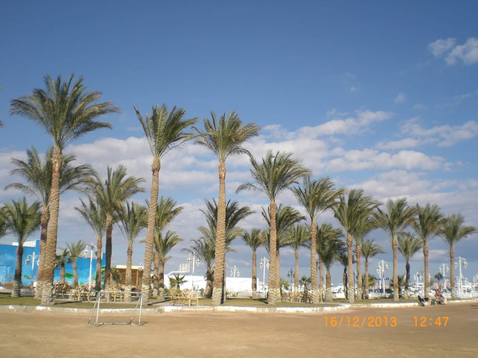 Strand The Grand Hotel Hurghada