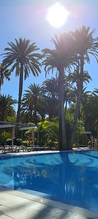 Pool Hotel Riu Palace Oasis