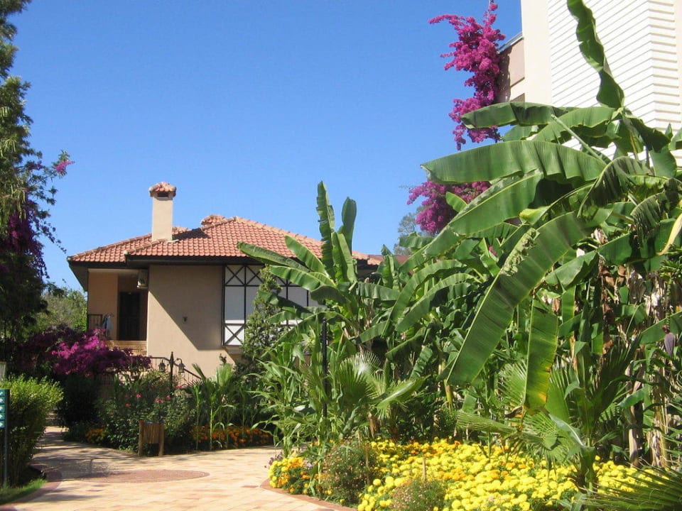 Weg zum Pool und Restaurant Club Dizalya