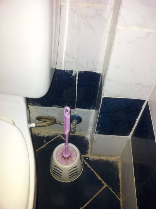 Alte dreckige Klobürste Desert Rose