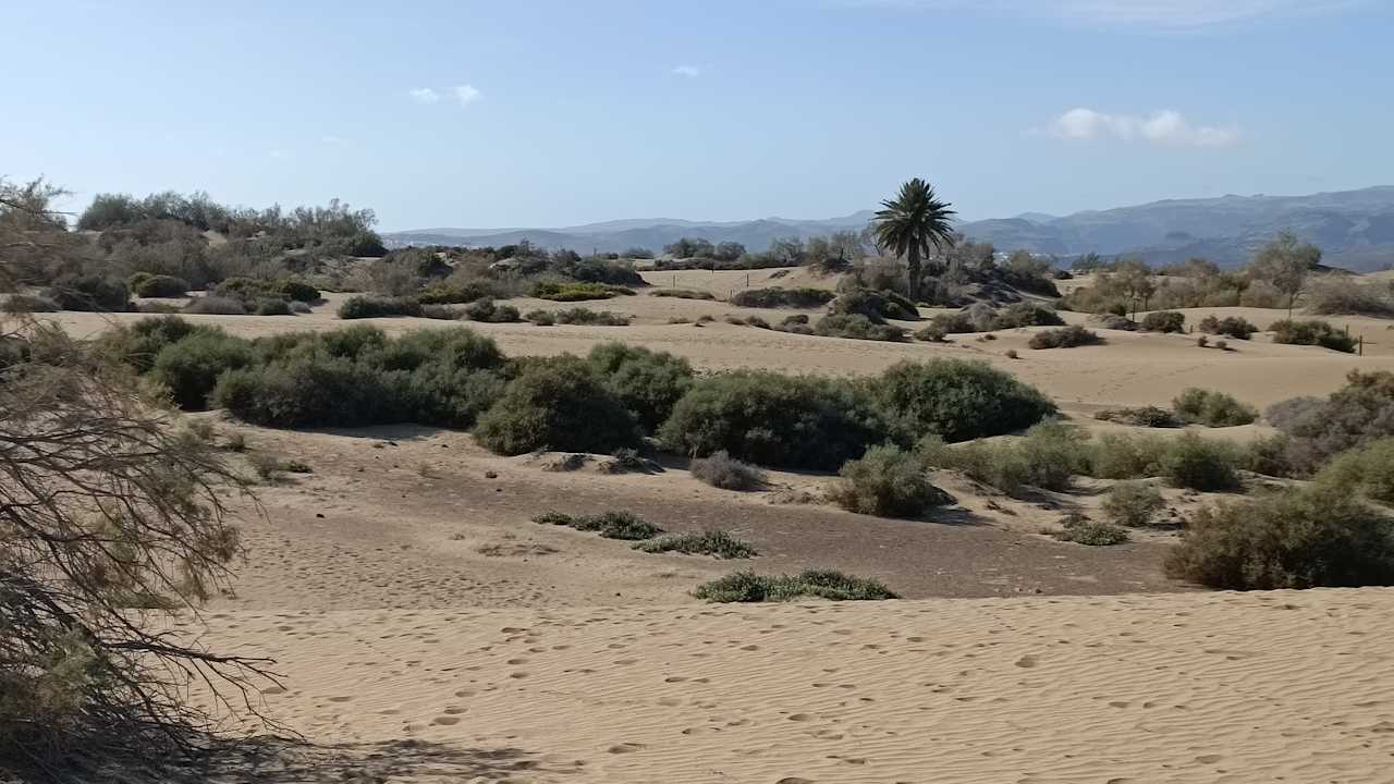 Sonstiges Hotel Principado