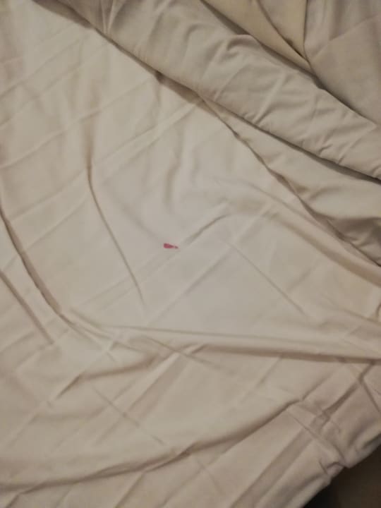 Zimmer Regina Resort and Aqua Park Hurghada