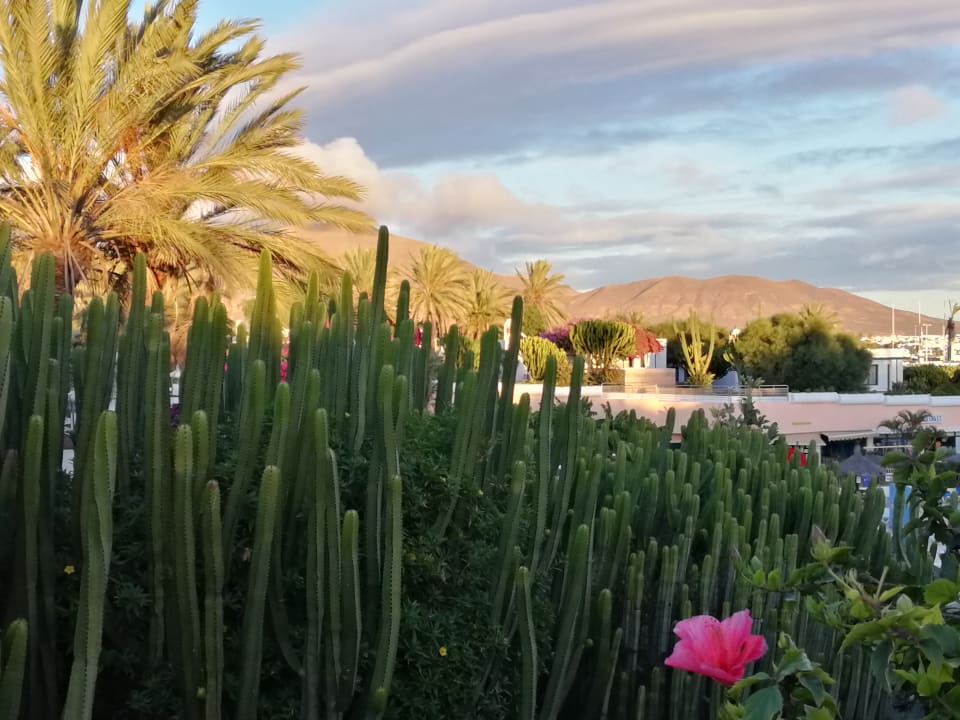 Garten Hotel HL Club Playa Blanca