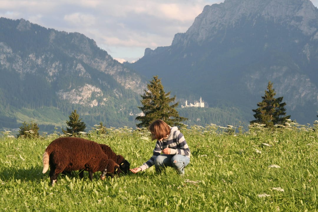 Schäfchen "Klara" und "Heidi" Ferienwohnungen Salenberghof