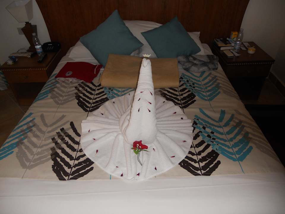 Handtuchkunst Seagull Beach Resort