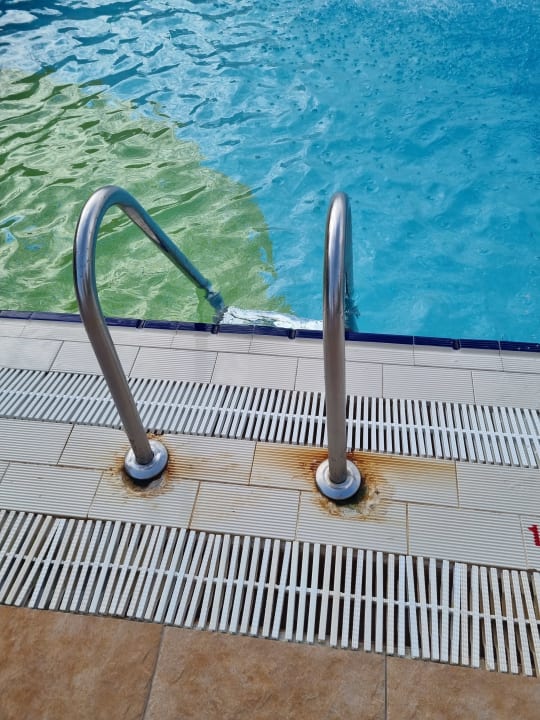 Pool Seaden Sea World Resort & Spa