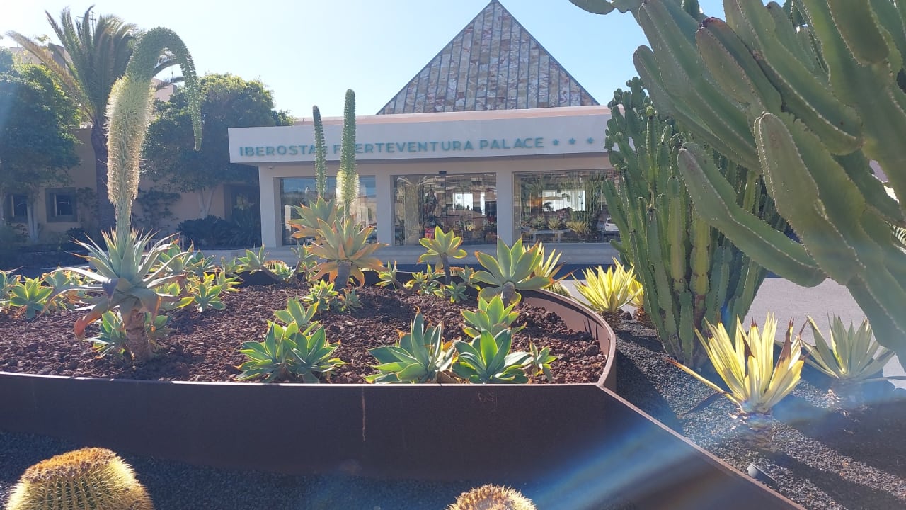 Gartenanlage Iberostar Selection Fuerteventura Palace