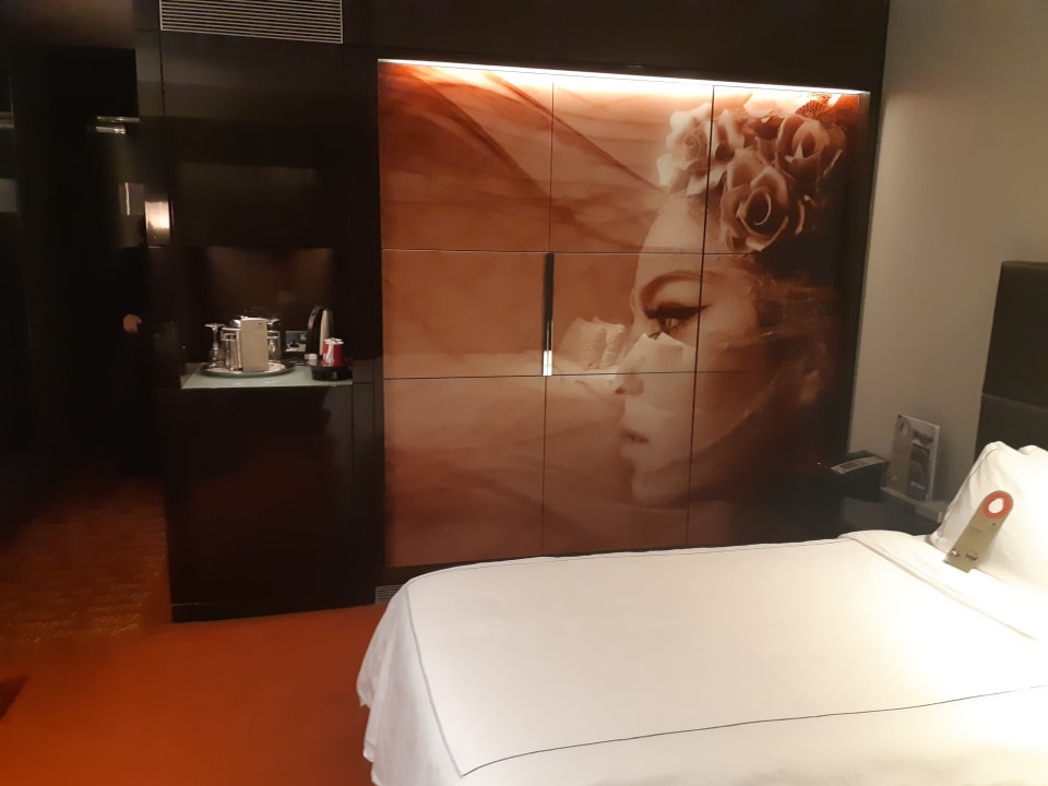 Zimmer Park Plaza Westminster Bridge London