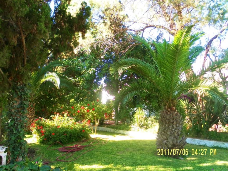 Ein Teil der Gartenanlage The Orangers Beach Resort and Bungalows