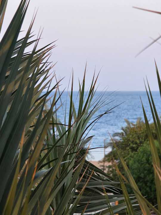 Strand TUI MAGIC LIFE Kalawy