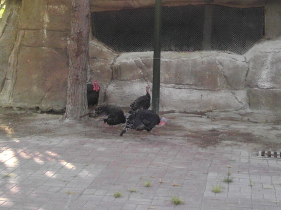 VON Club Golden Beach VONRESORT Golden Beach