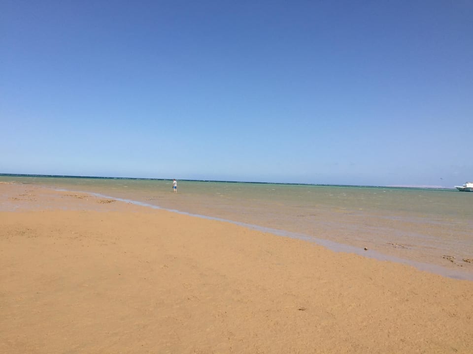 Beach  Golden Beach Resort