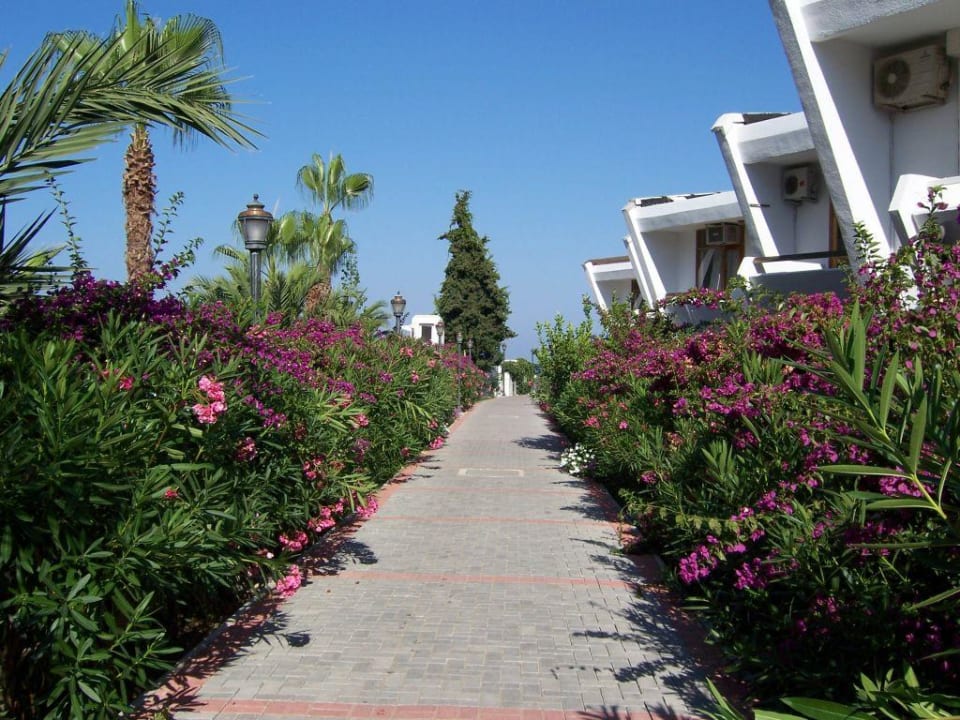 Weg zum Strand (2) Alaiye Resort & Spa