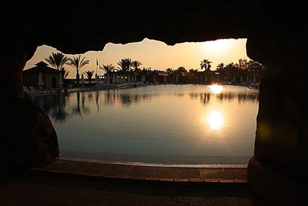 Reflection of the sunset Papillon Belvil