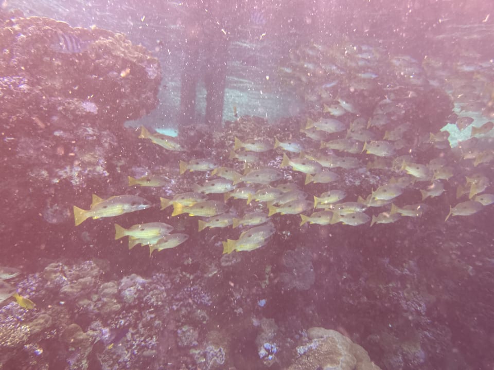 Strand Casa Mare Resort