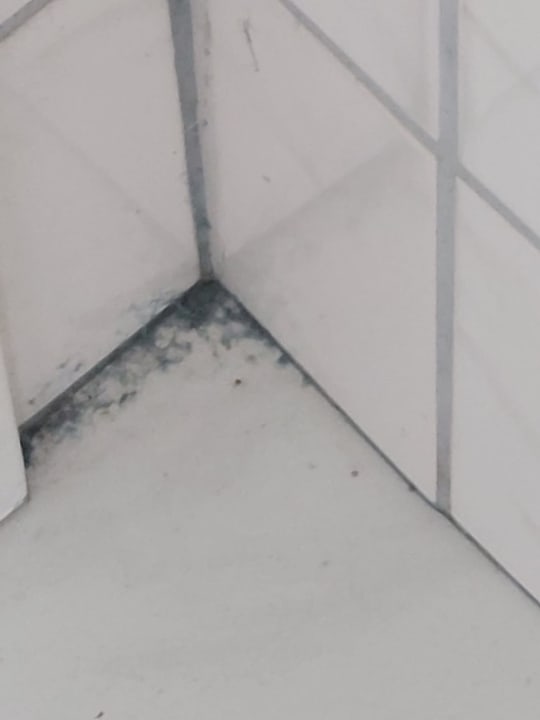 Zimmer Hotel Zum Torwächter