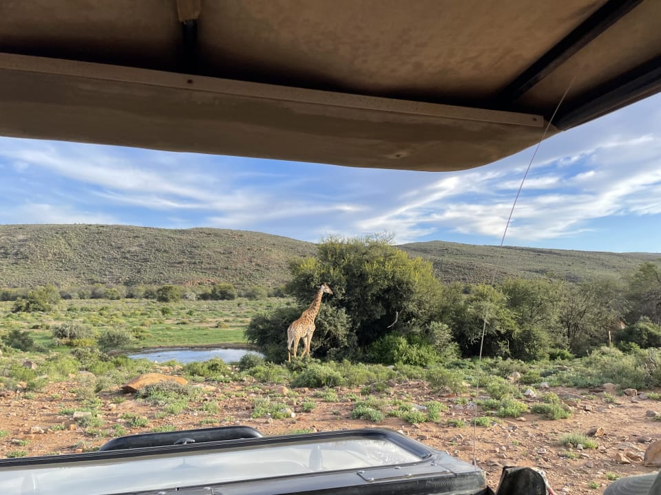 Sport & Freizeit Sanbona Wildlife Reserve - Gondwana Lodge