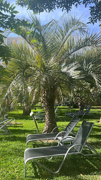 Gartenanlage Bahía de Alcúdia Hotel & Spa