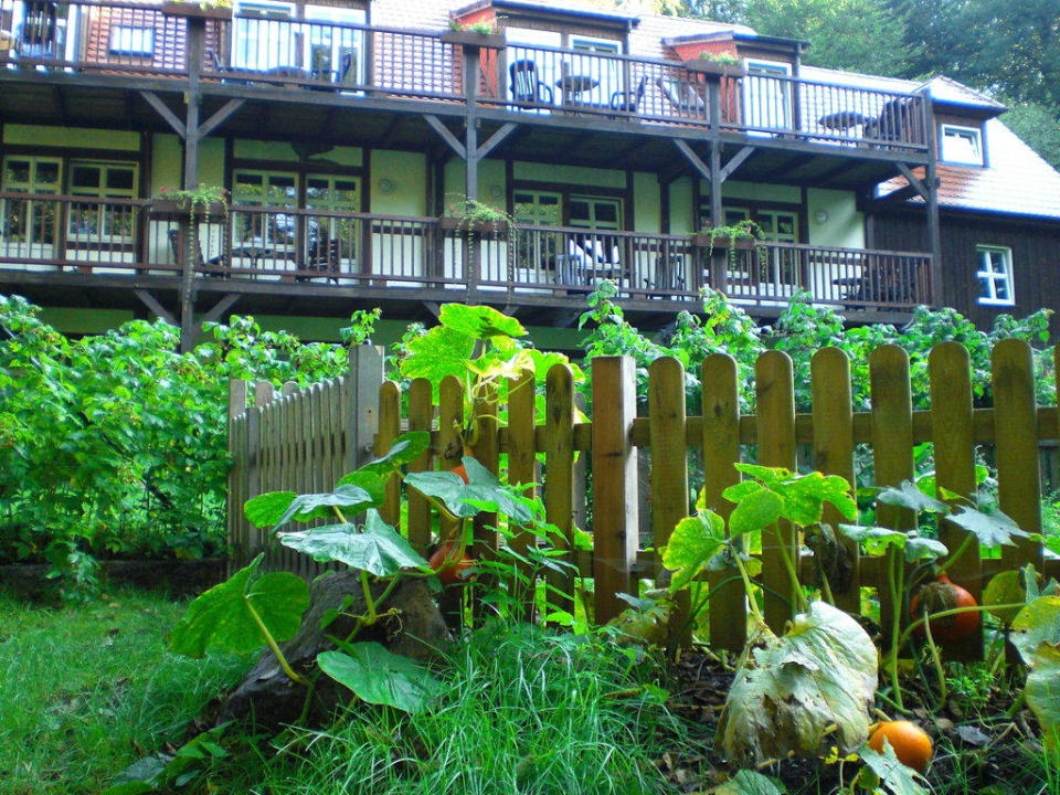Gemüsegarten mit Blick zu den Hotelzimmern Hotel Boltenmühle